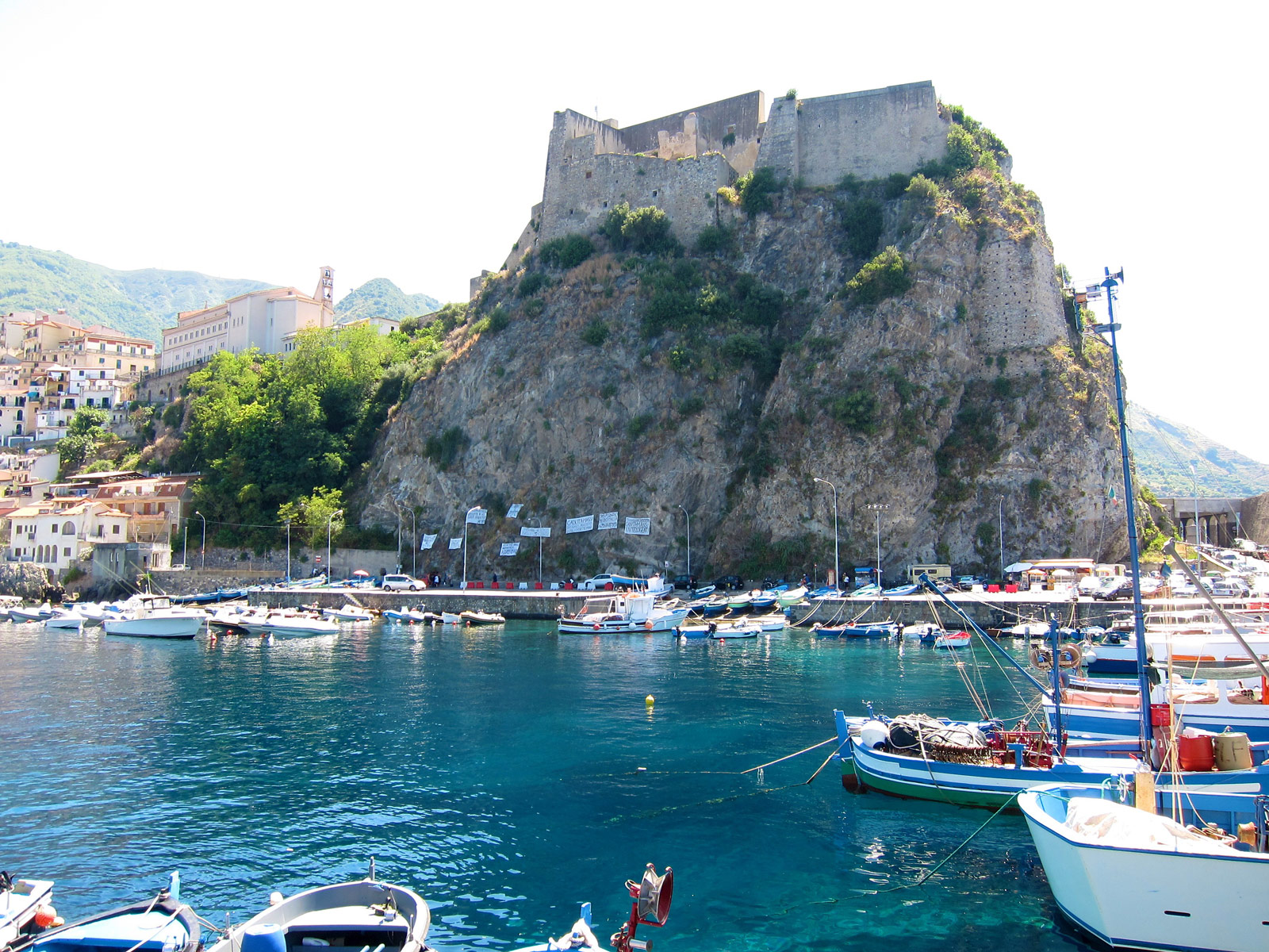Scilla